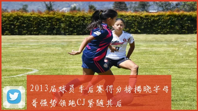 2013届球员季后赛得分榜揭晓字母哥强势领跑CJ紧随其后